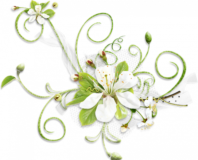 0_9b9c4_f9e180f3_XL_1