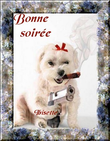 mardi 2 octobre 155d9bd3
