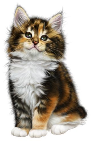 62263e51a1a0ba8721045669e37cf07b