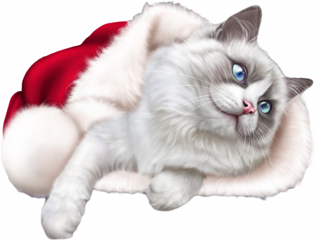 Soon_New_Year_15_172